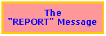 Text Box: The �REPORT� Message