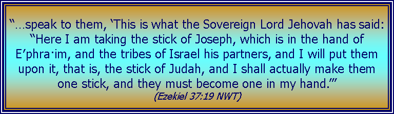 Text Box: “…speak to them, ‘This is what the Sovereign Lord Jehovah has said: “Here I am taking the stick of Joseph, which is in the hand of E′phra·im, and the tribes of Israel his partners, and I will put them upon it, that is, the stick of Judah, and I shall actually make them one stick, and they must become one in my hand.”’ (Ezekiel 37:19 NWT)